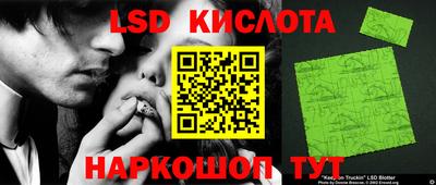 шишки Гай