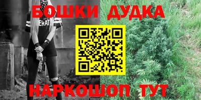 шишки Гай