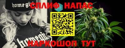 шишки Гай