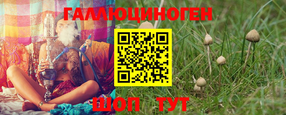 Псилоцибиновые грибы мухоморы  Вход с VPN  Мценск 