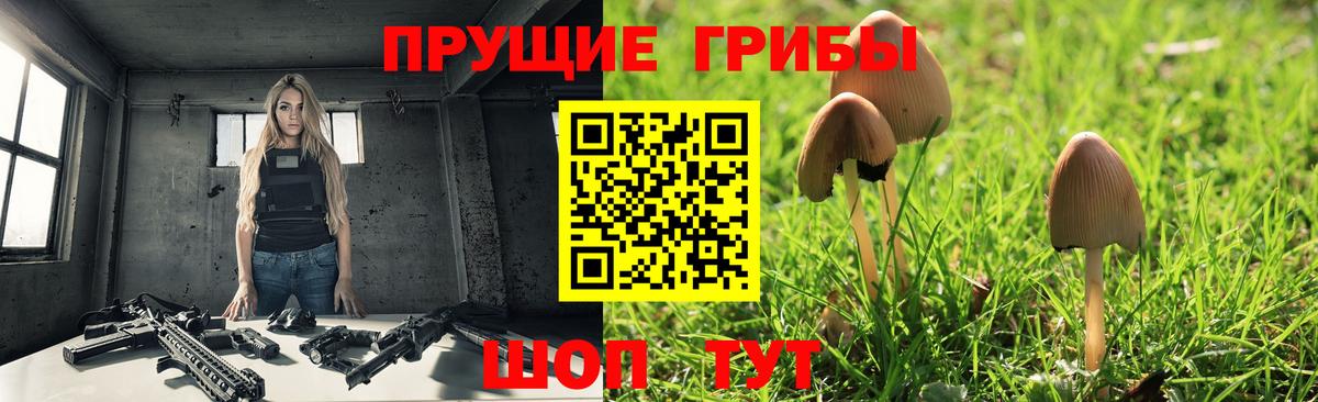 Псилоцибиновые грибы Magic Shrooms Мценск