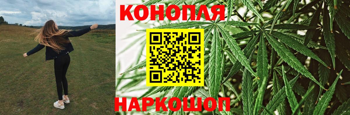 Шишки марихуана сатива Мценск